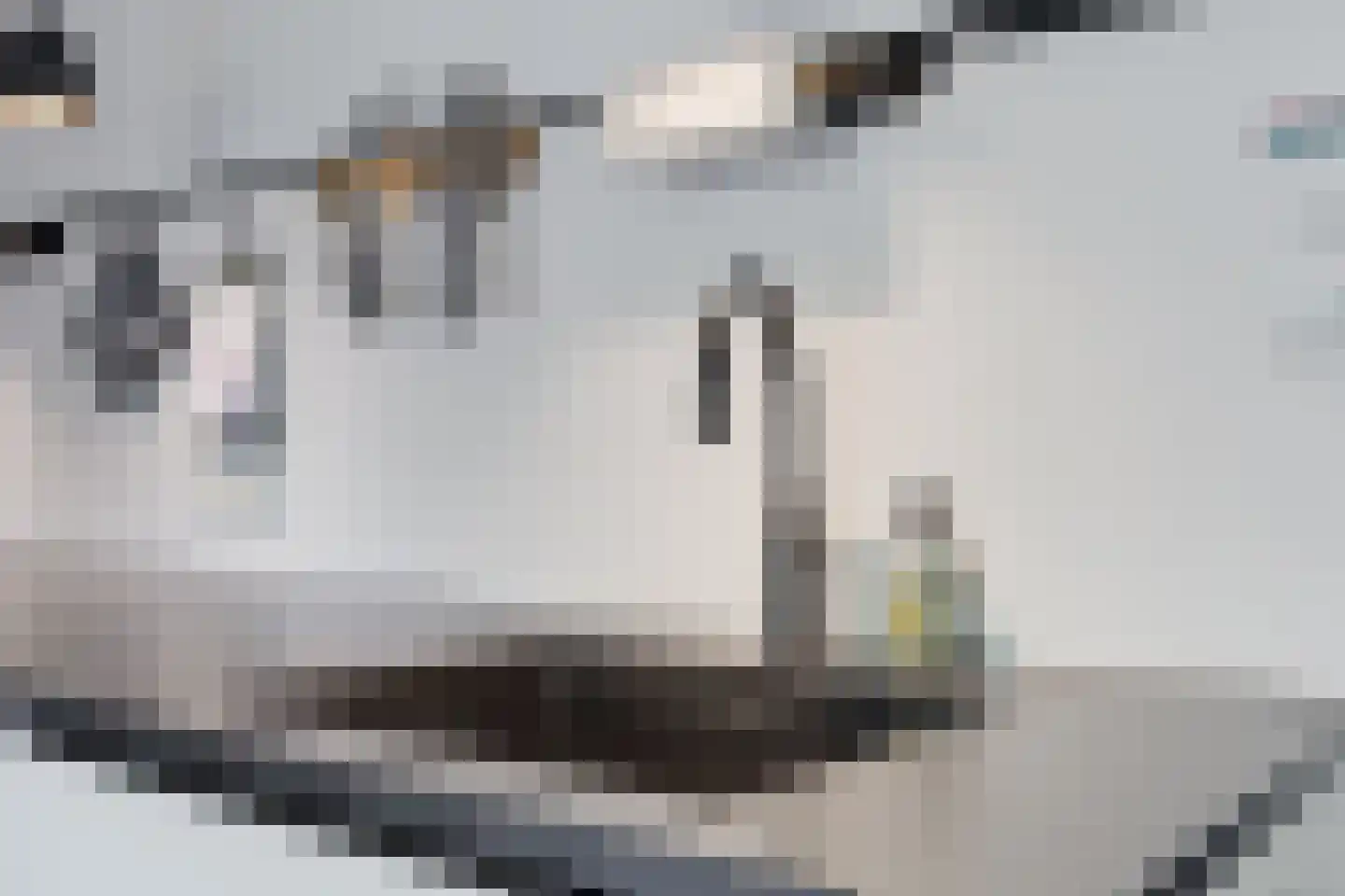 Egelantier 11 Haaksbergen thumbnail 21