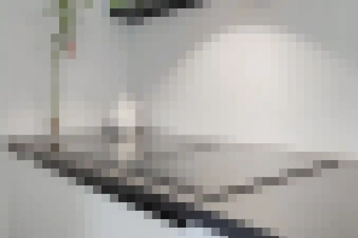 Egelantier 11 Haaksbergen thumbnail 22
