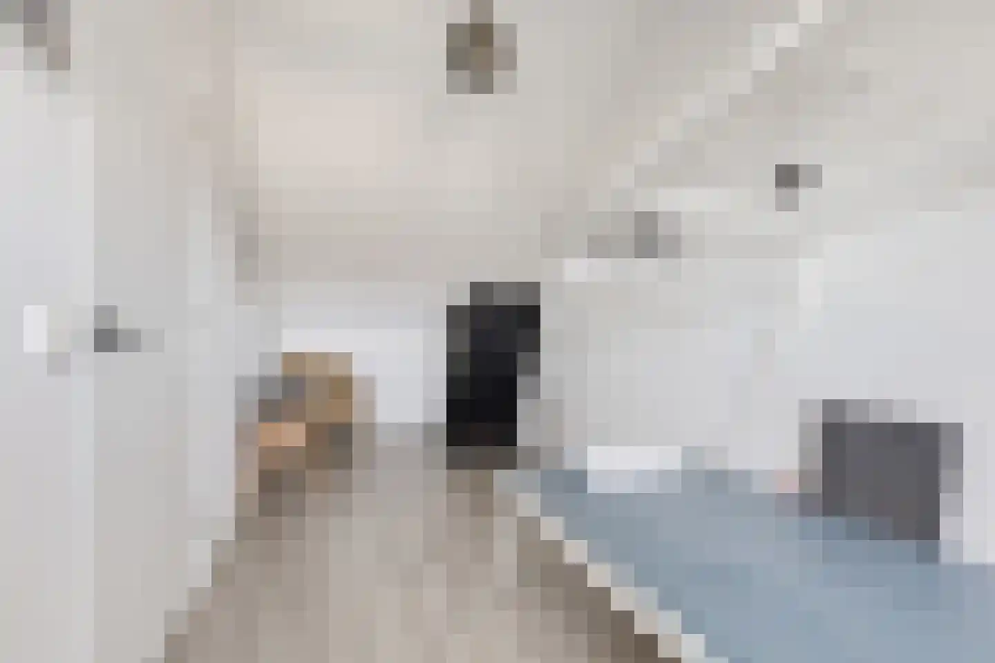 Egelantier 11 Haaksbergen thumbnail 37