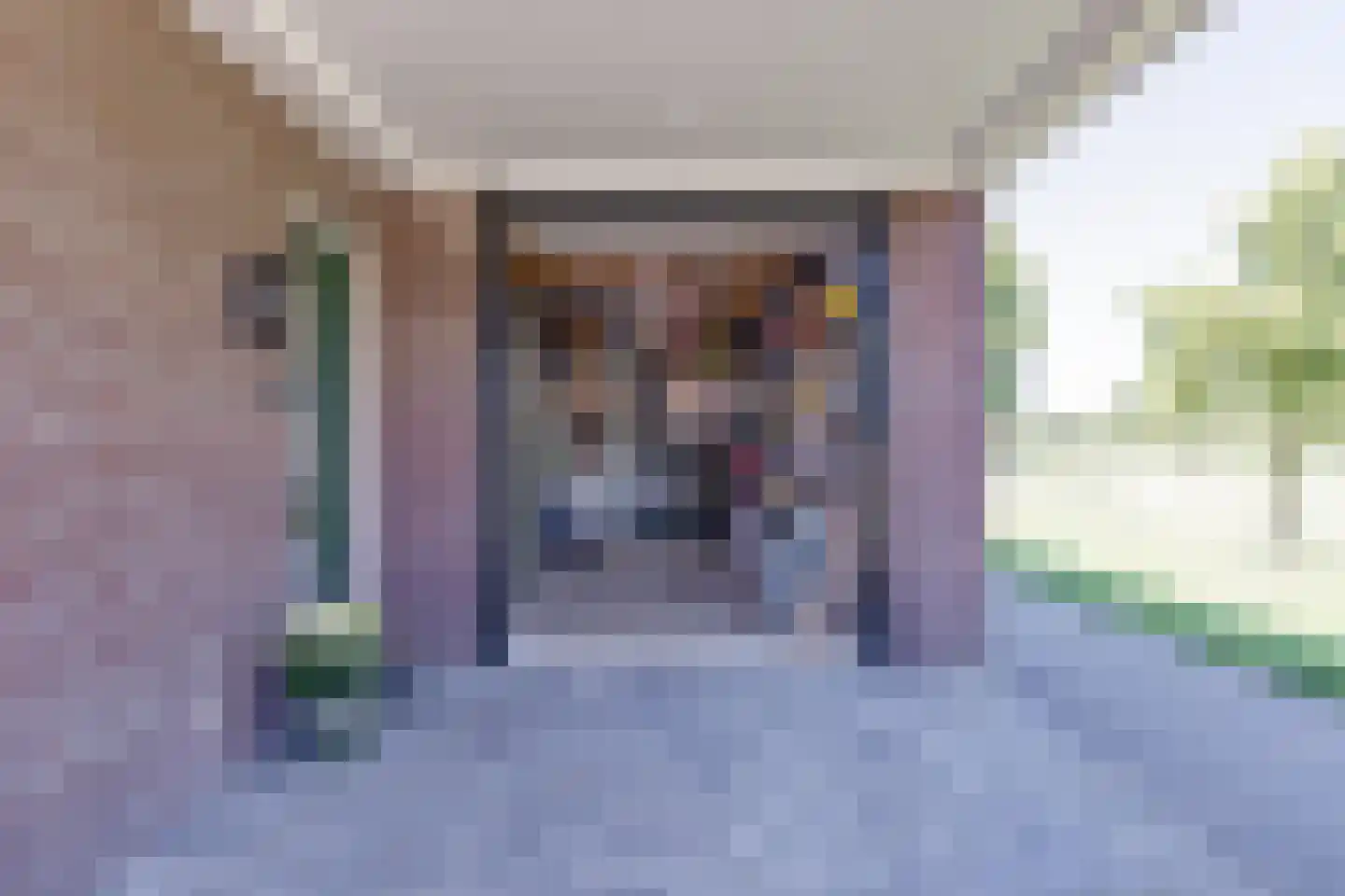 Egelantier 11 Haaksbergen thumbnail 39