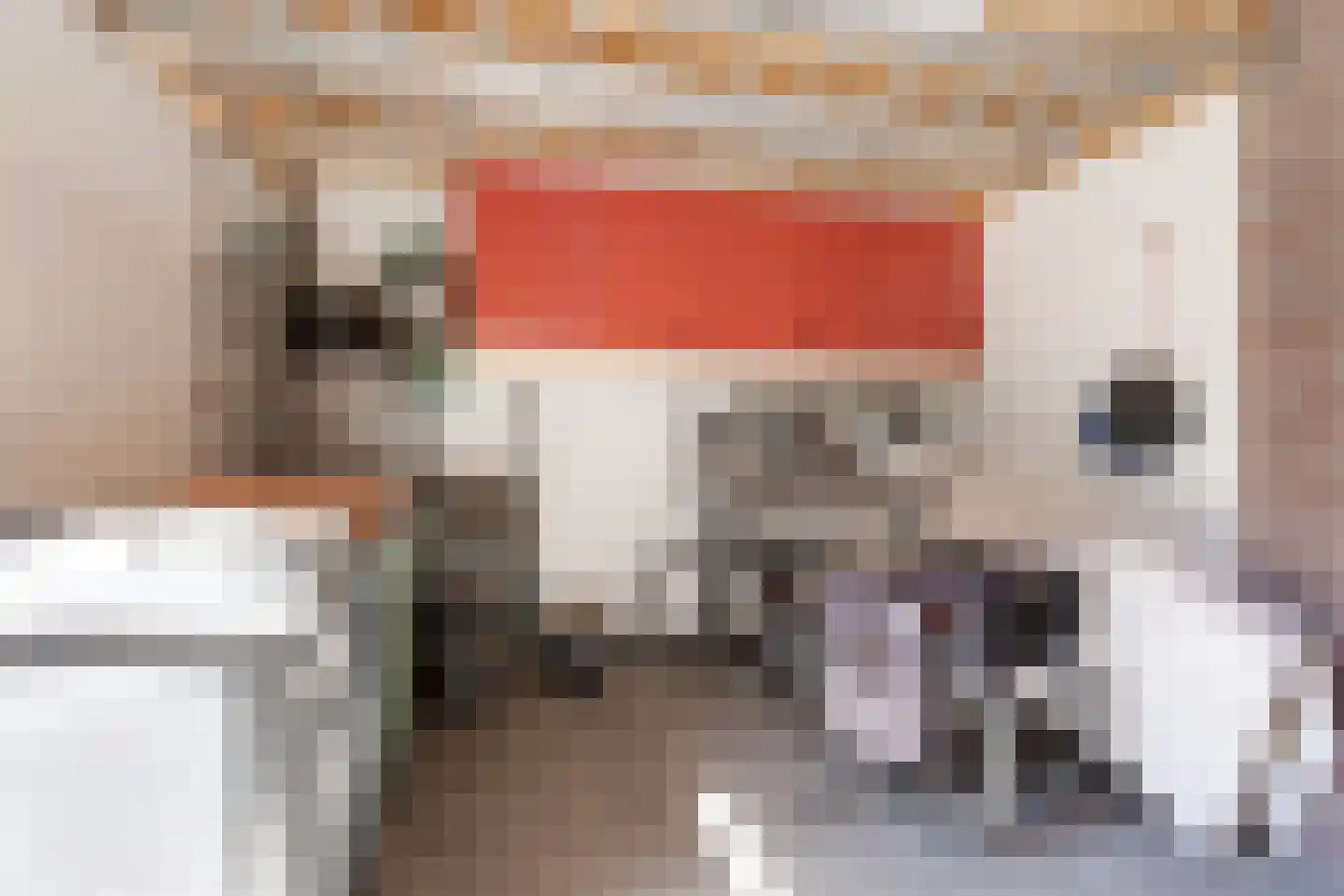 Egelantier 11 Haaksbergen thumbnail 41
