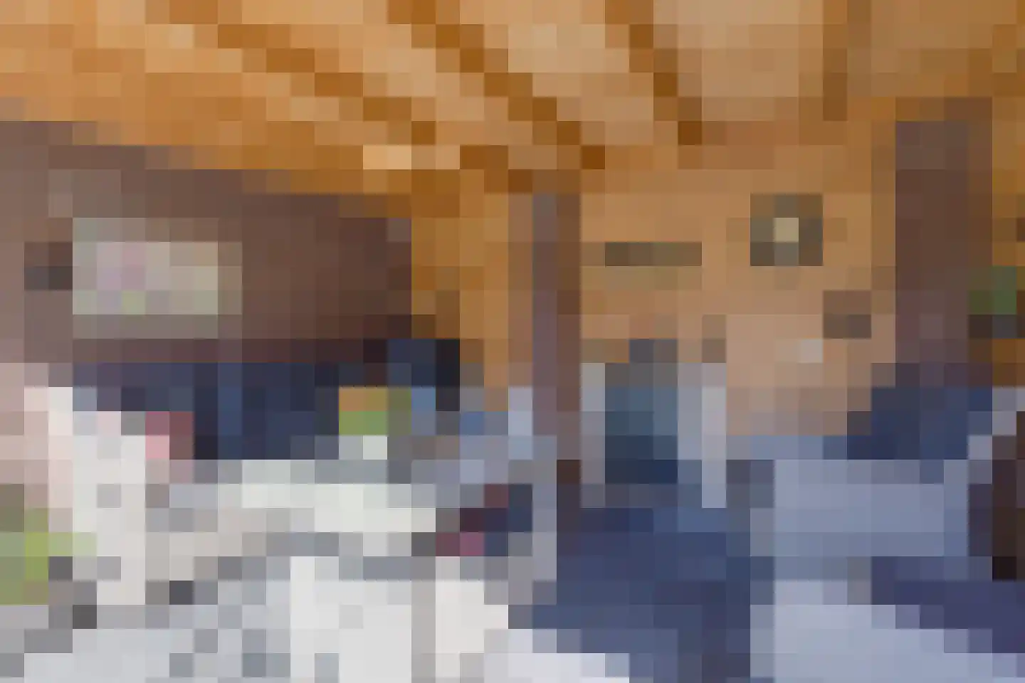Egelantier 11 Haaksbergen thumbnail 47