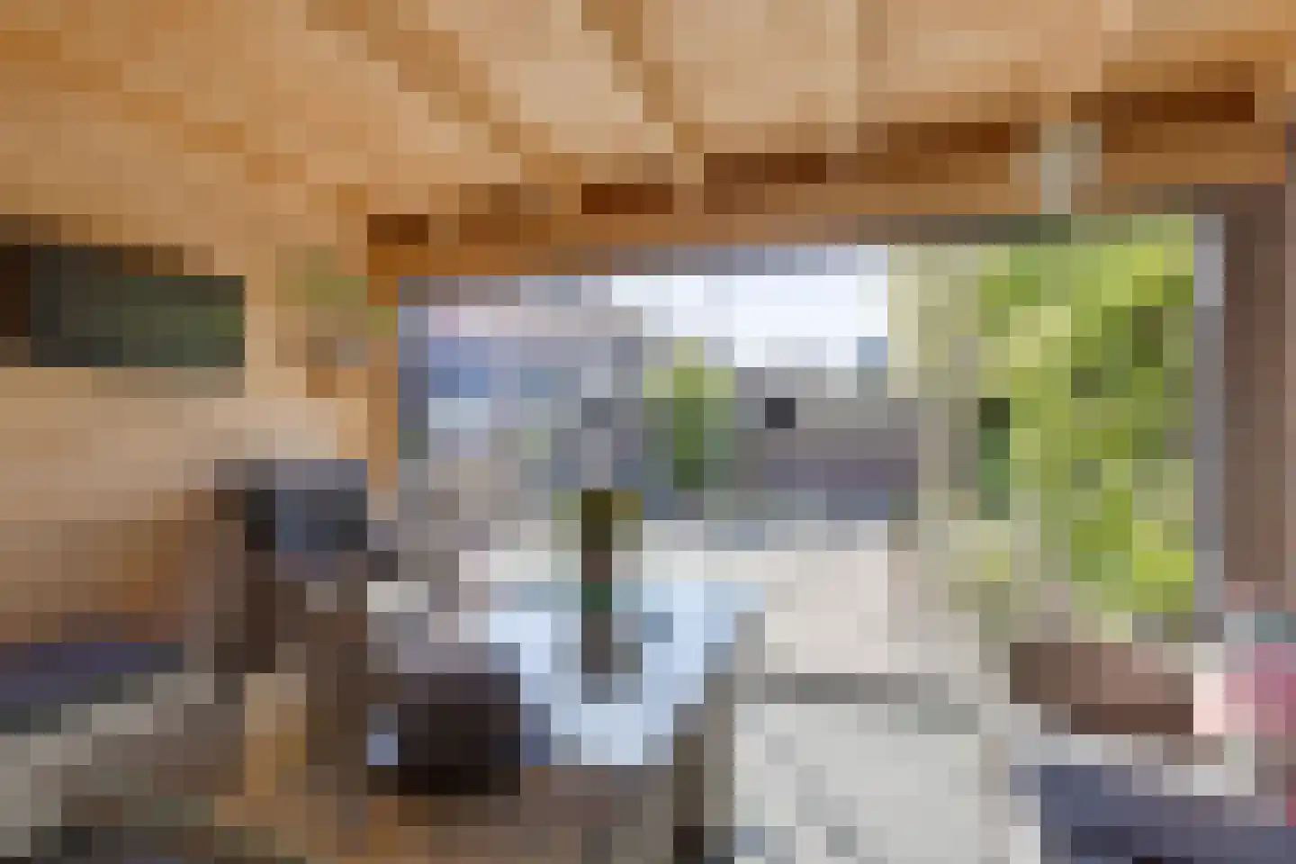 Egelantier 11 Haaksbergen thumbnail 48