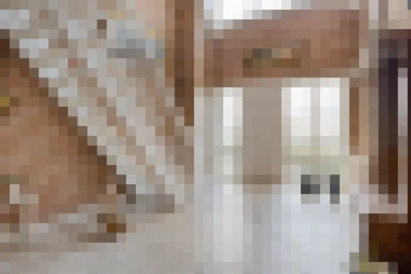 Egelantier 18 Zundert thumbnail 12