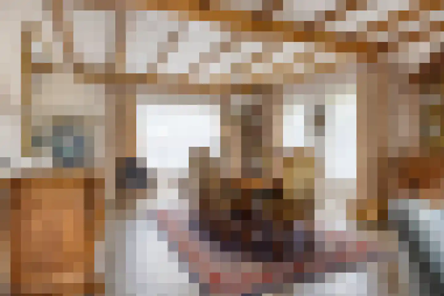 Egelantier 18 Zundert thumbnail 14