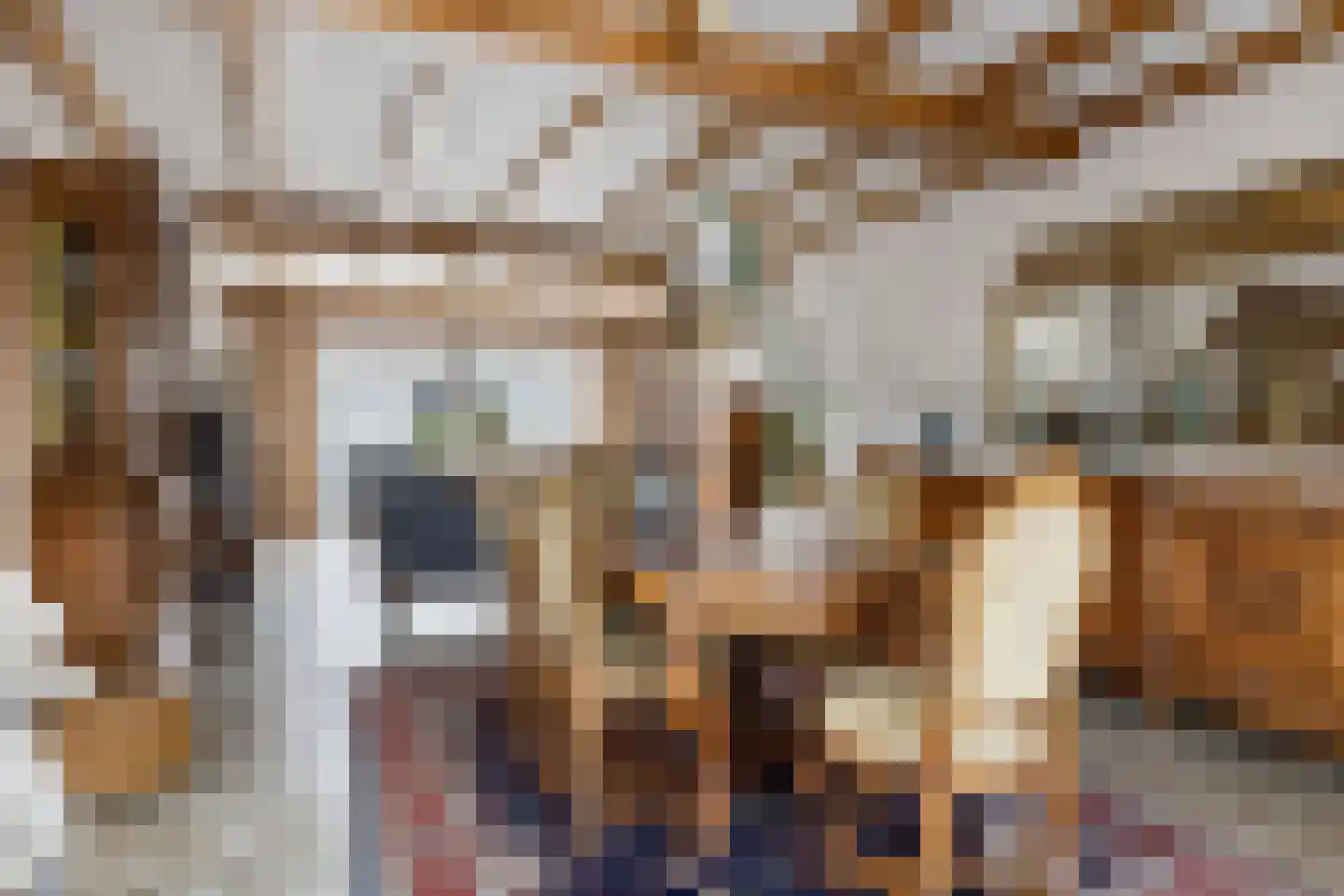Egelantier 18 Zundert thumbnail 16