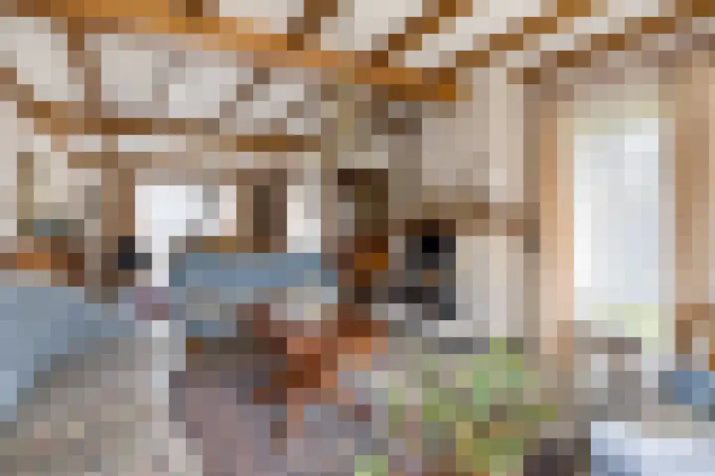 Egelantier 18 Zundert thumbnail 18