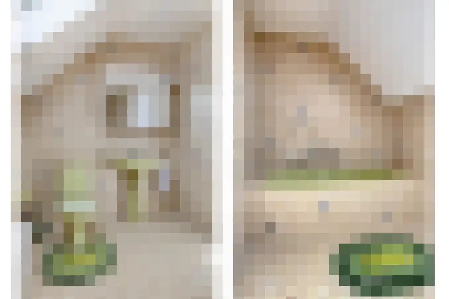 Egelantier 18 Zundert thumbnail 31