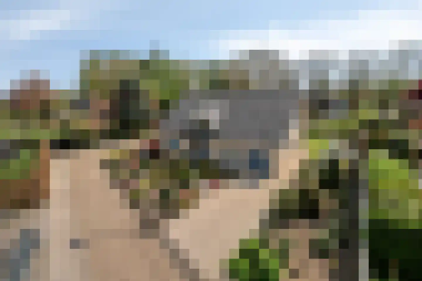 Egelantier 18 Zundert thumbnail 45