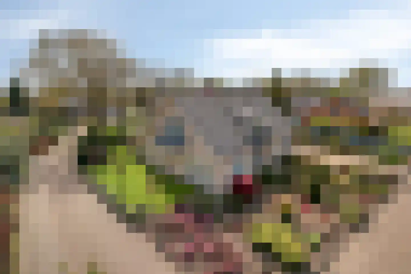 Egelantier 18 Zundert thumbnail 46