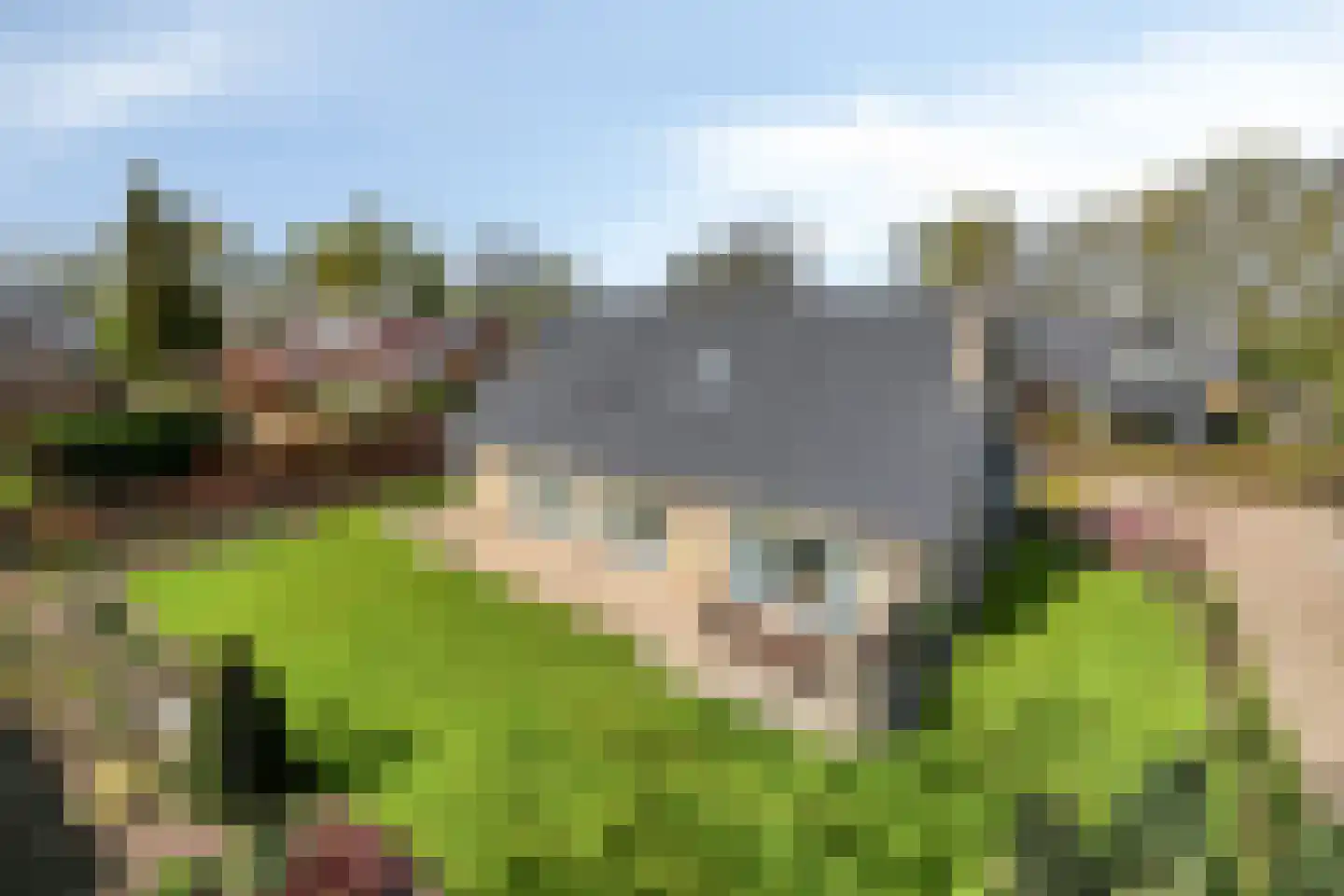 Egelantier 18 Zundert thumbnail 47