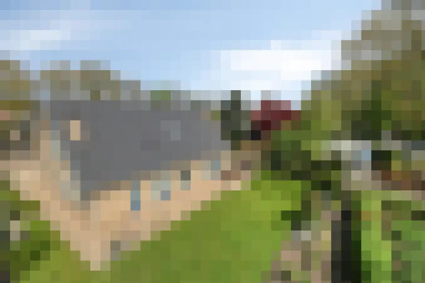 Egelantier 18 Zundert thumbnail 48