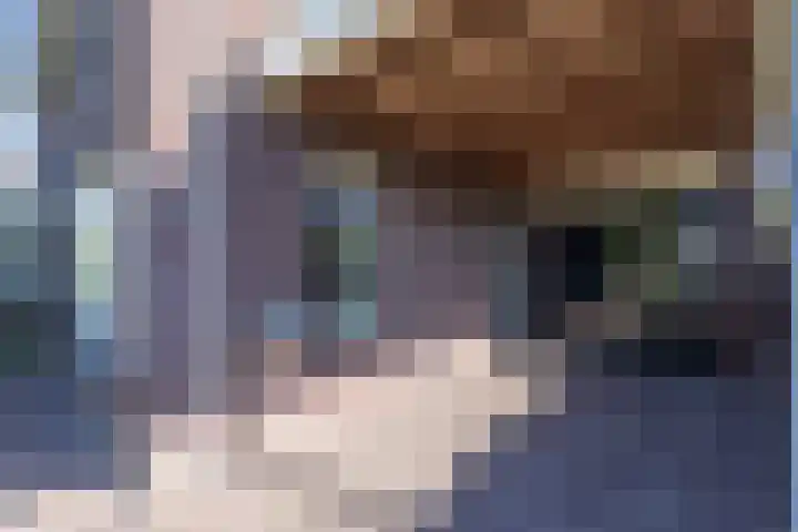 Egelantier 2 Haaksbergen thumbnail 10
