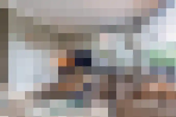Egelantier 2 Haaksbergen thumbnail 12