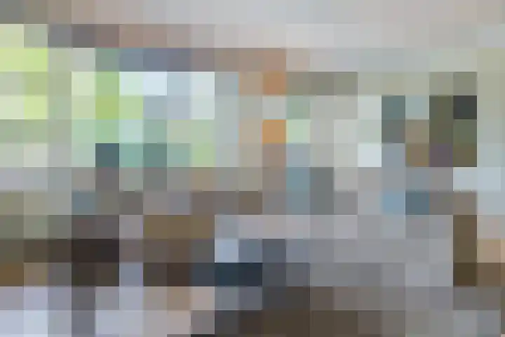 Egelantier 2 Haaksbergen thumbnail 13