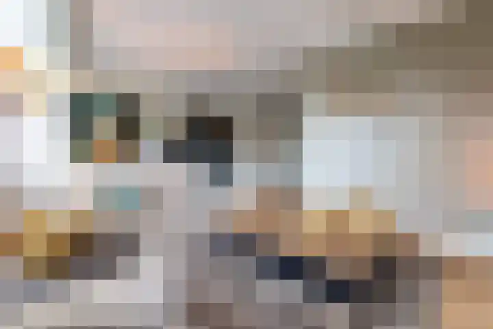 Egelantier 2 Haaksbergen thumbnail 14