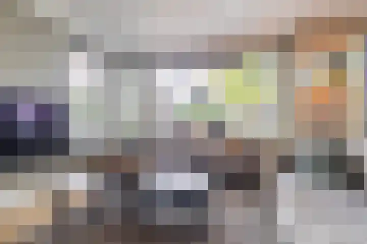 Egelantier 2 Haaksbergen thumbnail 15