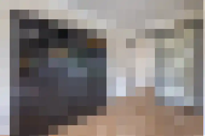 Egelantier 2 Haaksbergen thumbnail 16