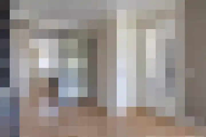 Egelantier 2 Haaksbergen thumbnail 17