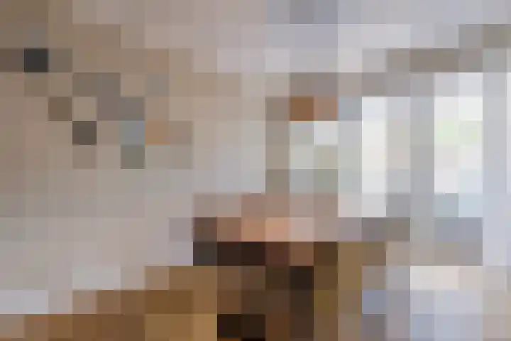 Egelantier 2 Haaksbergen thumbnail 19