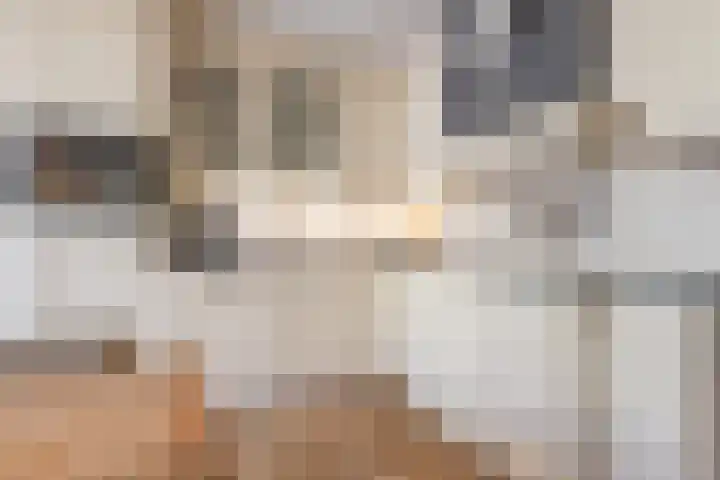 Egelantier 2 Haaksbergen thumbnail 22