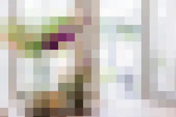 Egelantier 2 Haaksbergen thumbnail 26