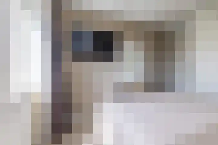 Egelantier 2 Haaksbergen thumbnail 37