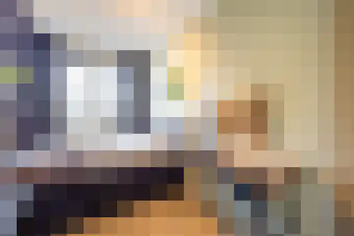 Egelantier 2 Haaksbergen thumbnail 38