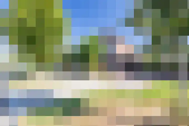 Egelantier 2 Haaksbergen thumbnail 4