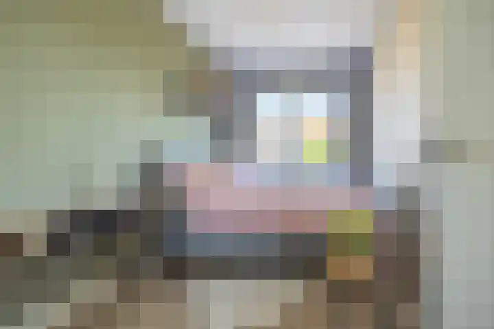 Egelantier 2 Haaksbergen thumbnail 41