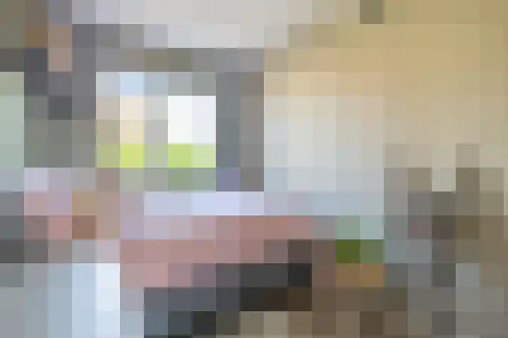 Egelantier 2 Haaksbergen thumbnail 42