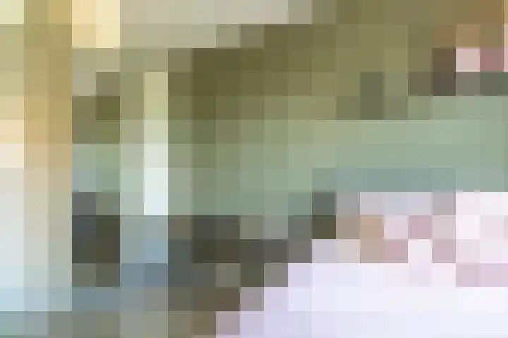 Egelantier 2 Haaksbergen thumbnail 43