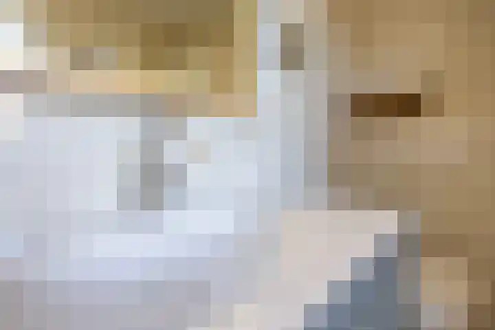 Egelantier 2 Haaksbergen thumbnail 48