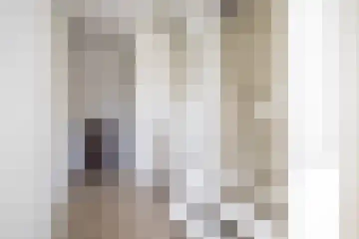 Egelantier 2 Haaksbergen thumbnail 49