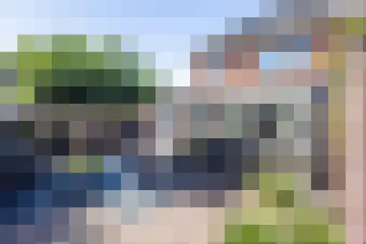Egelantier 2 Haaksbergen thumbnail 55