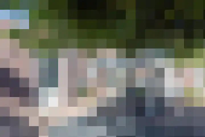 Egelantier 2 Haaksbergen thumbnail 57