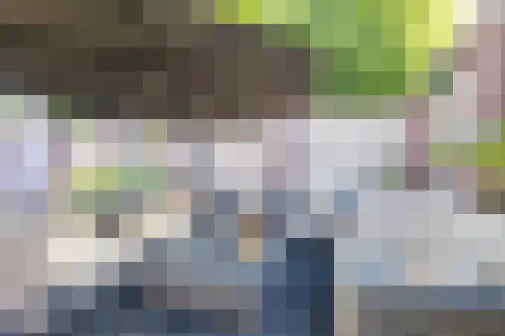 Egelantier 2 Haaksbergen thumbnail 58