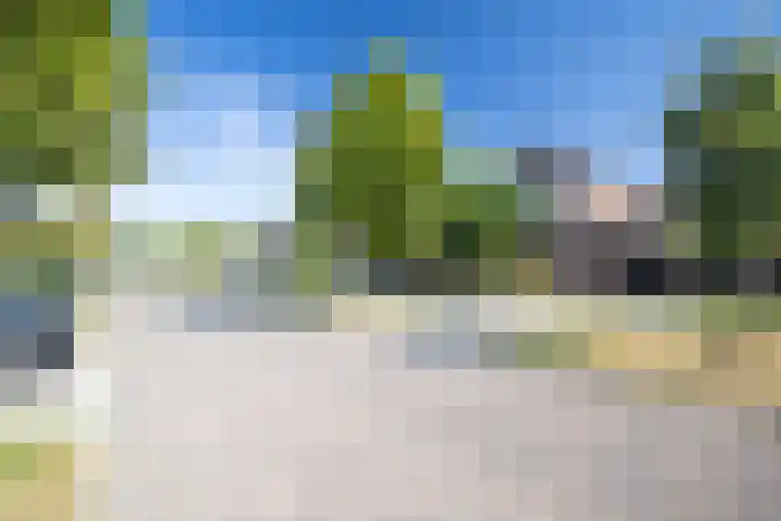 Egelantier 2 Haaksbergen thumbnail 6