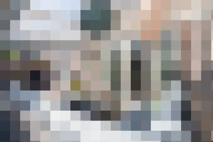 Egelantier 2 Haaksbergen thumbnail 60