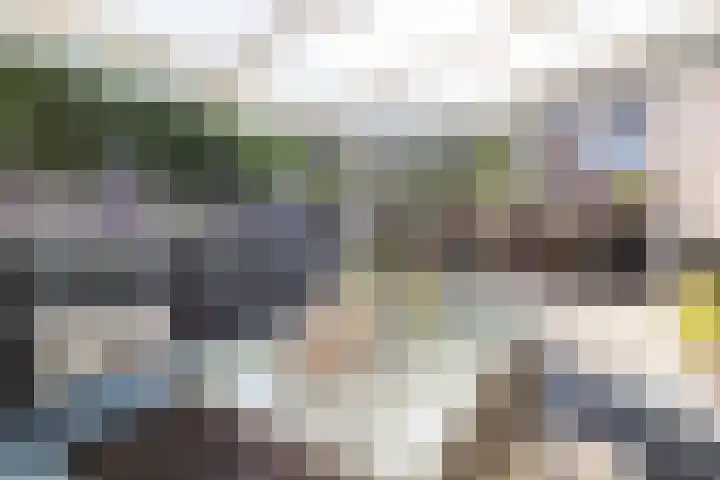 Egelantier 2 Haaksbergen thumbnail 61