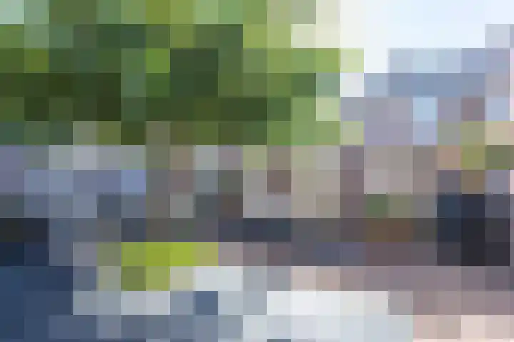 Egelantier 2 Haaksbergen thumbnail 62