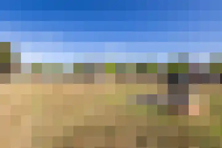 Egelantier 2 Haaksbergen thumbnail 63