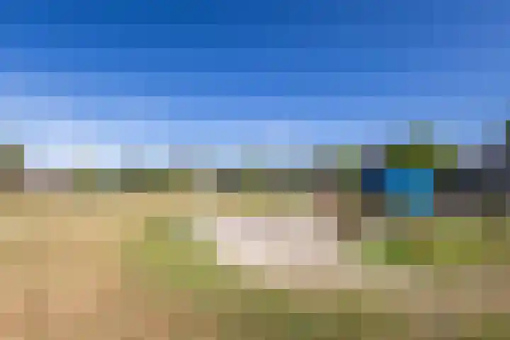 Egelantier 2 Haaksbergen thumbnail 64