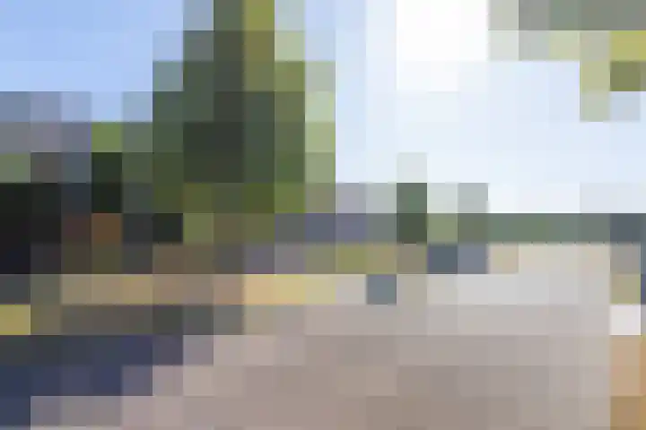 Egelantier 2 Haaksbergen thumbnail 7