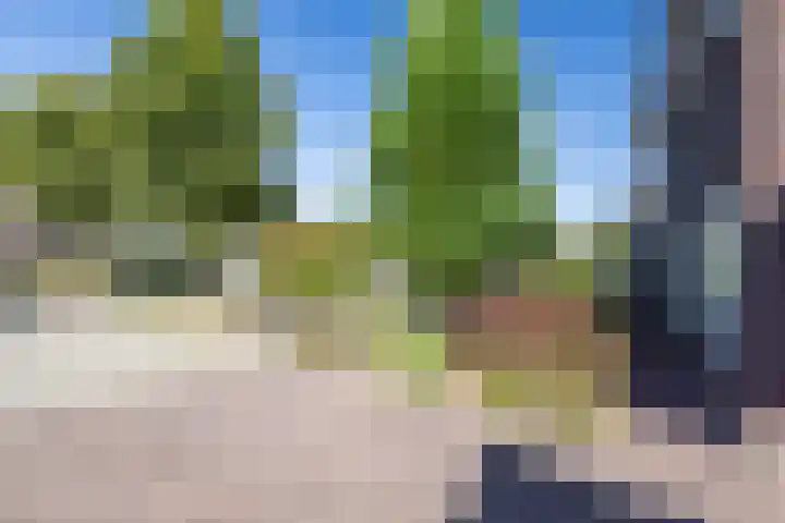 Egelantier 2 Haaksbergen thumbnail 9