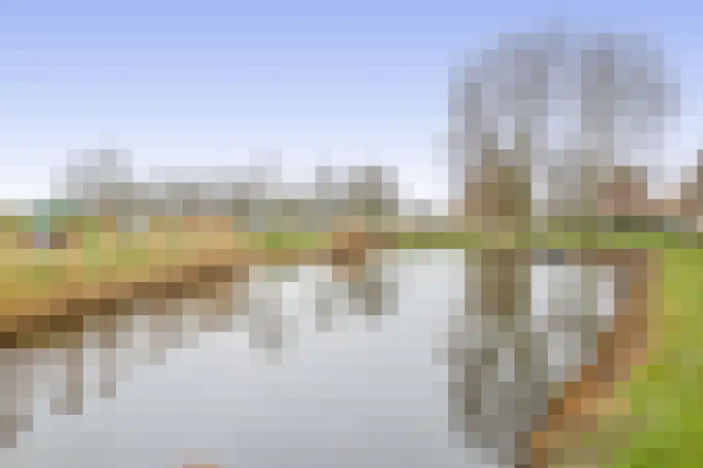 Egelantier 22 Nootdorp thumbnail 15