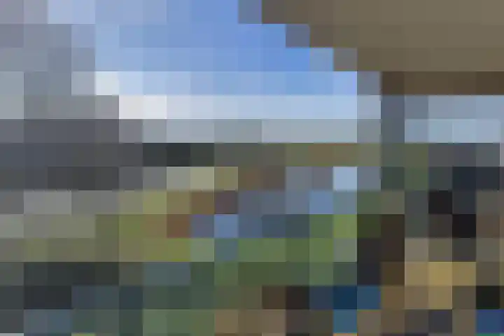 Egelantier 22 Nootdorp thumbnail 17