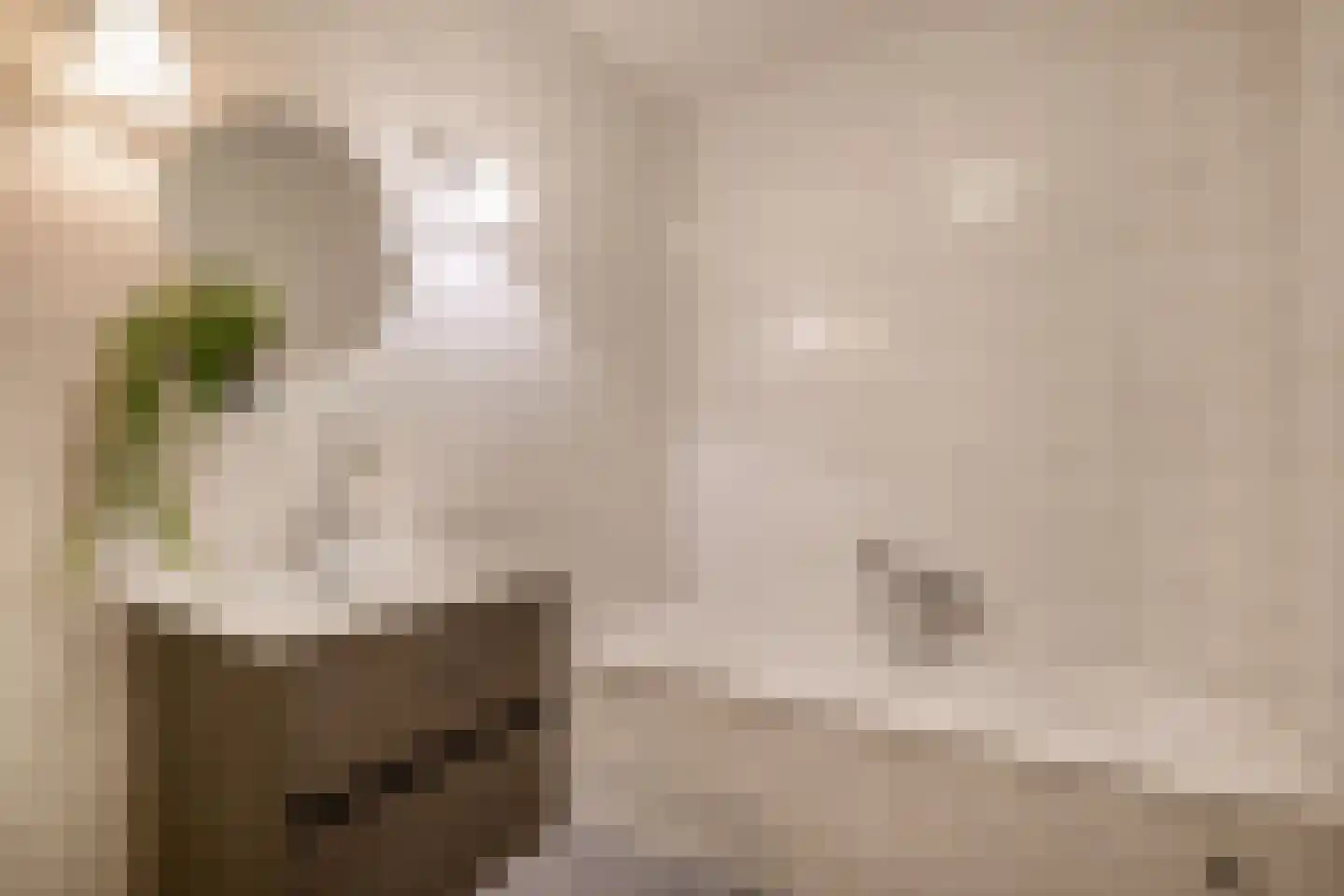 Egelantier 22 Nootdorp thumbnail 20