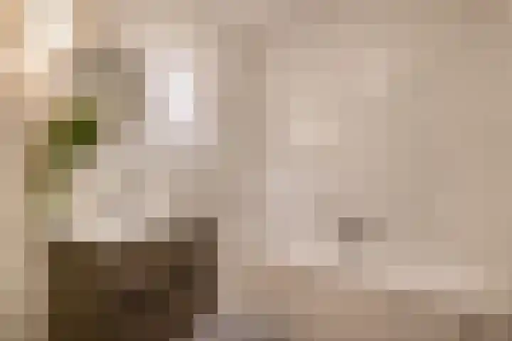 Egelantier 22 Nootdorp thumbnail 24