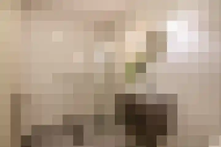 Egelantier 22 Nootdorp thumbnail 26
